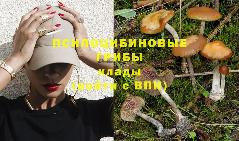 купить  сайты  Мамадыш  Галлюциногенные грибы MAGIC MUSHROOMS 